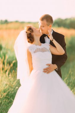 Yeni evliler sarılma güzel dikey fotoğraf. Gelin Damat alanında yüz okşuyor.