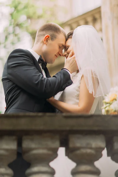 Le portrait latéral sensible du marié caressant le visage de la mariée . — Photo