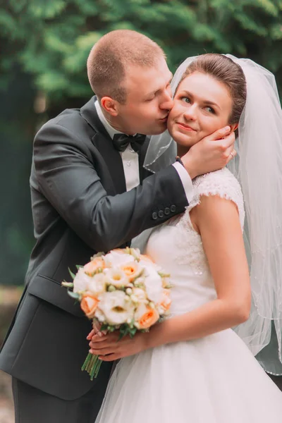 A vőlegény a menyasszonyt megcsókolta az arcát a parkban. — Stock Fotó