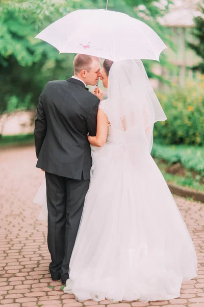 The full-length photo of the newlyweds standing nose-to-nose under the umbrella in the park. — Stock Photo, Image