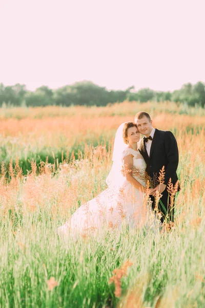 Os recém-casados abraçando no campo de trigo . — Fotografia de Stock