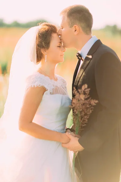 Az oldalnézet, a vőlegény, csók a menyasszonyt a homlokán. a búzamező. — Stock Fotó