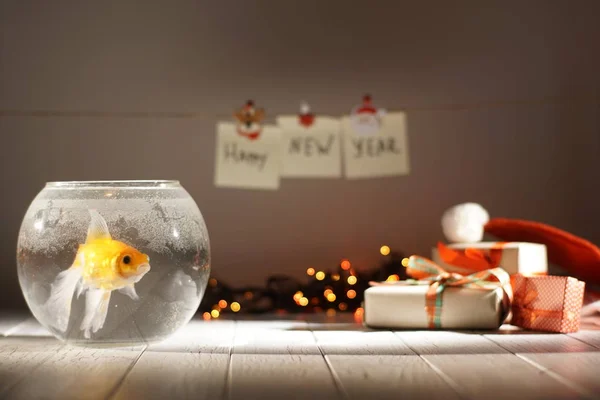 Золотая рыба в круговом аквариуме на размытом фоне рождественских подарков, светящихся гирлянд и новогодних знаков . — стоковое фото