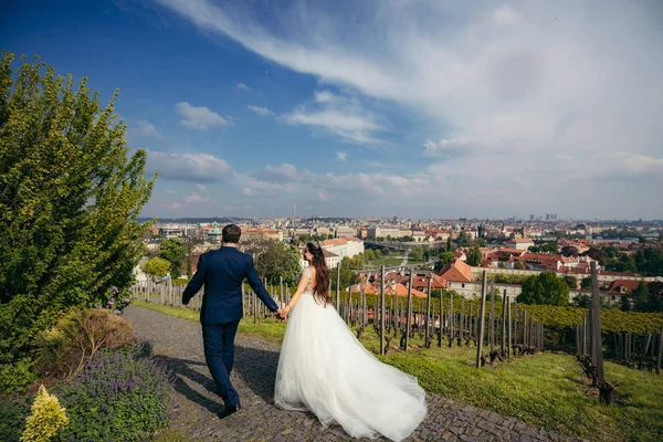 A visão traseira dos recém-casados de mãos dadas e caminhando ao longo da estrada de pavimentação sob o belo céu. Praga panorama . — Fotografia de Stock