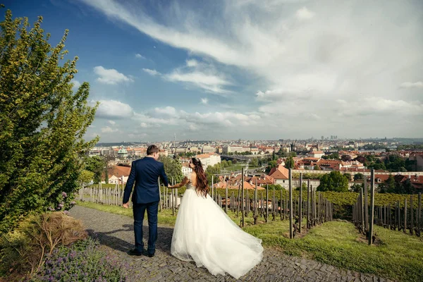 Recém-casados encantadores estão de mãos dadas enquanto caminham ao longo da estrada de pavimentação perto do panorama de Praga. Visão traseira — Fotografia de Stock