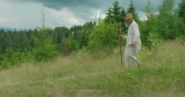 The full-length side view of the senoir traveller in old clothes is holding the flowers while walking with the help of the cane along the green mountains. — Stock Video