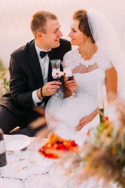 Pikniğe kutluyor neşeli yeni evliler yakın çekim portresi.