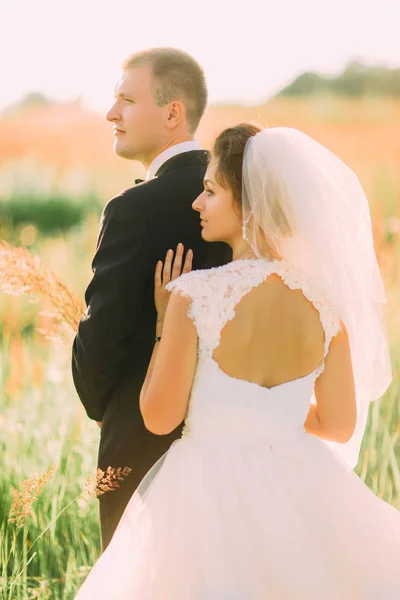 La vue arrière des épaules nues de la mariée appuyée sur le marié dans le champ de blé . — Photo