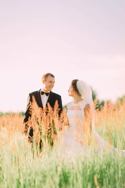 Šťastní novomanželé tráví čas v poli pšenic. — Stock fotografie