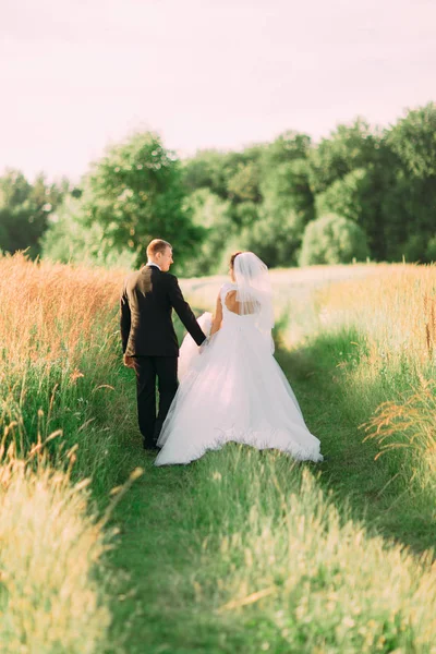 La vista trasera de los recién casados caminando tomados de la mano en el campo verde . — Foto de Stock