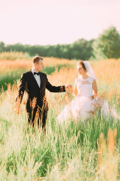 Bella passeggiata degli sposi felici che si tengono per mano nel campo di grano . — Foto Stock