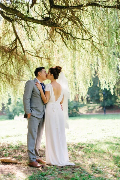 Нежный поцелуй красивой невесты и жениха под зеленым деревом — стоковое фото