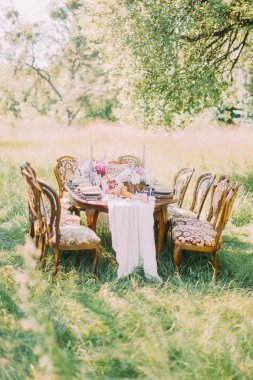 Düğün masa meyve, mumlar ve çiçeklerle dekore edilmiş. Bu güneşli alanında yeşil çimlerin üzerine yerleştirilir.