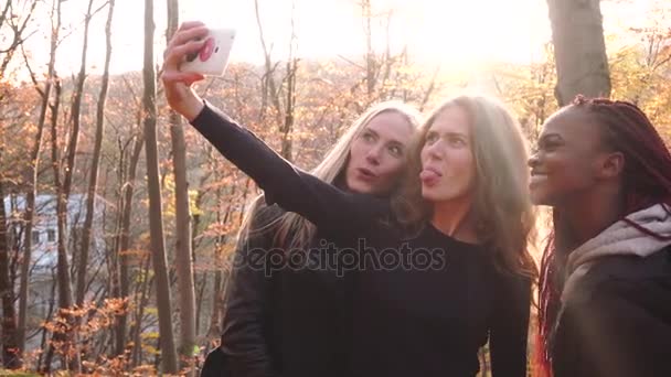 A vista lateral das namoradas multirraciais tomando selfies engraçadas no parque de outono . — Vídeo de Stock