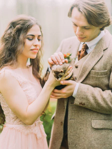 A foto de close-up da noiva sorridente segurando o furão marrom enquanto o noivo vestido vintage está acariciando o animal. A composição florestal . — Fotografia de Stock