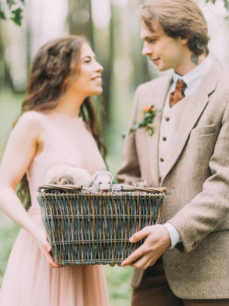 ぼやけている素敵な新婚夫婦を笑顔は森で灰色のフェレットと不織布ボックスを保持しています。. — ストック写真