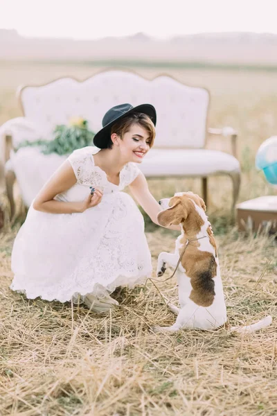 Sida porträtt sitter brudens klappa den fluffig hunden i fältet soliga. — Stockfoto