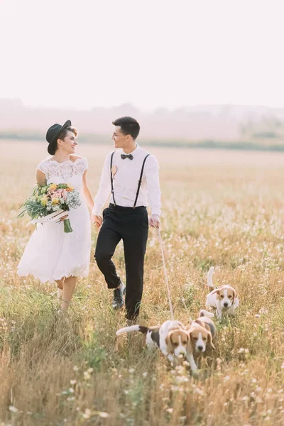 新婚夫婦が笑みを浮かべて、話して、日当たりの良いフィールドで 3 匹の犬とウォーキングします。花嫁はカラフルな花束を保持しています。. — ストック写真