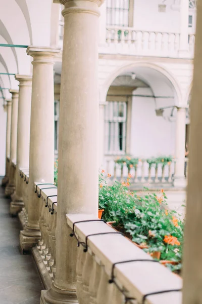 Perfetta vista dell'antico balcone coperto di bellissimi fiori . — Foto Stock