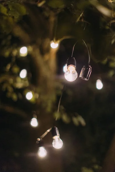 Освещение гирлянды лампы висит на дереве ночью . — стоковое фото