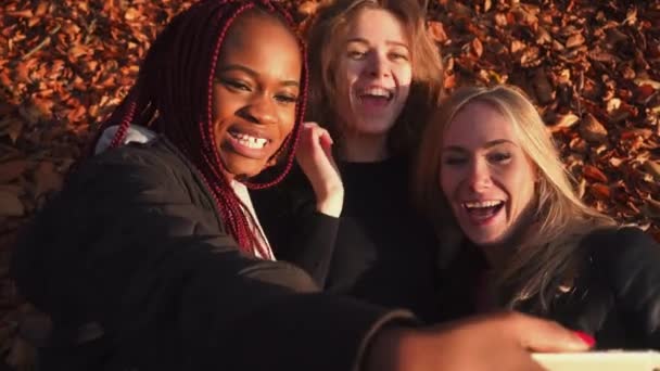 Happy multicultural girlfriends are making funny faces and taking selfies while lying on the ground full of yellowed leaves. — Stock Video
