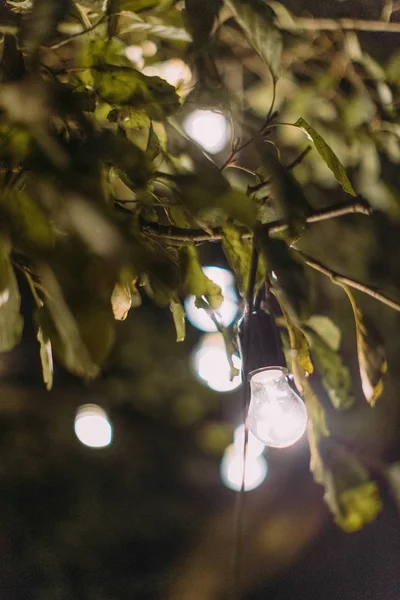 Härlig dekoration i trädet på natten. Lysande garland lampor. — Stockfoto
