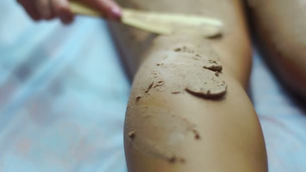 Vista de cerca de la mano que sale del barro cosmético usando el cepillo en las piernas de las mujeres . — Vídeos de Stock