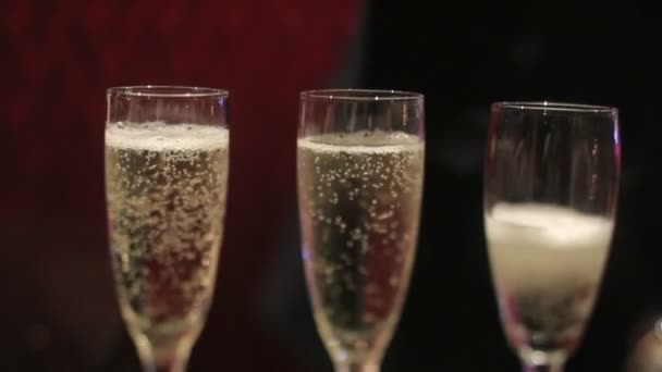 Primo piano di tre flauti riempiti di champagne frizzante — Video Stock