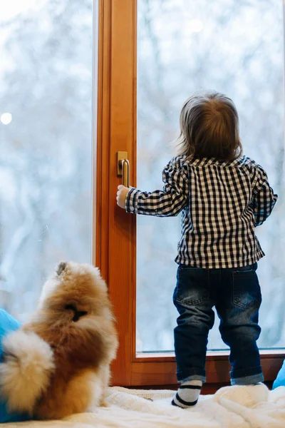 Petit garçon et spitz poméranien regarder par la fenêtre à winte — Photo