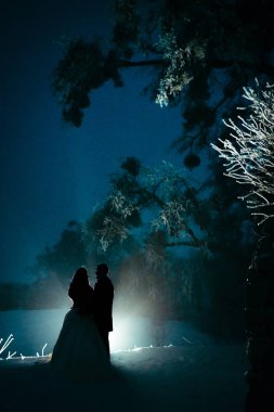 Işıkta gece kış ormanda sarılma yeni evliler hassas dikey çekim.