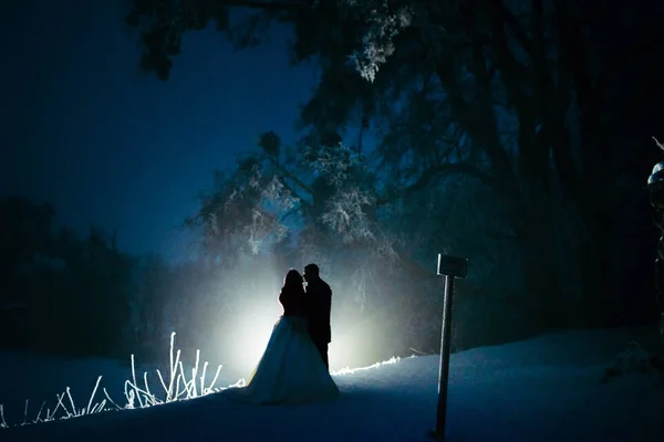 Tiro cheio de comprimento dos recém-casados que abraçam a silhueta na luz. Floresta de inverno à noite . — Fotografia de Stock