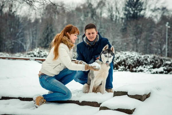 Lyckliga älskande par kryssade med siberian husky i den snöiga skogen. Den leende röda huvud kvinnan håller snöboll. — Stockfoto