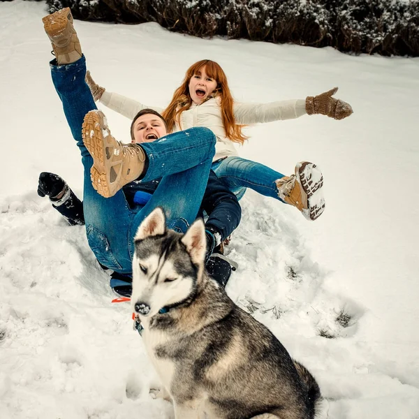 Das fröhliche Paar hat Spaß, indem es sich auf den Schnee legt, während der sibirische Husky davor sitzt. Lustiges Porträt. — Stockfoto