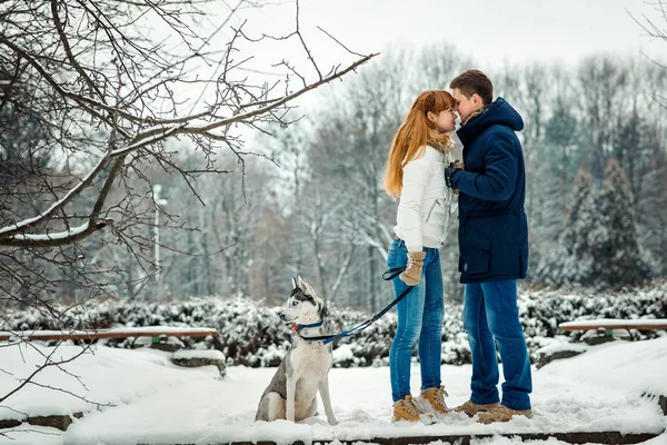 O passeio com husky siberiano na floresta nevada. Feliz casal amoroso de mãos dadas e de pé perto . — Fotografia de Stock