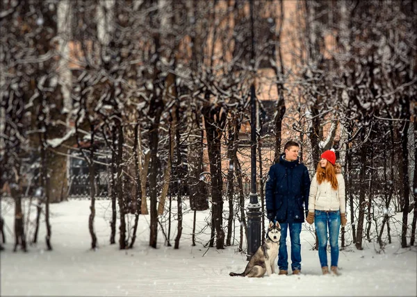 Ολόσωμο προβολή της χαμογελώντας ζευγάρι κρατώντας τα χέρια και το Χάσκυ Σιβηρίας κάθεται κοντά τους στη διάρκεια της χιονόπτωσης. — Φωτογραφία Αρχείου