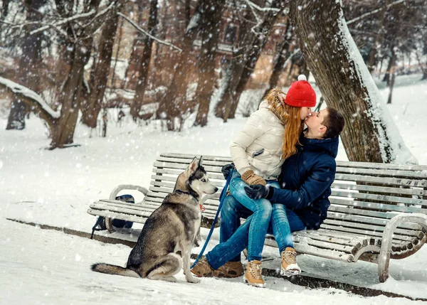 Navidad al aire libre retrato completo de la feliz pareja besándose en el banco durante su paseo con husky siberiano en el bosque nevado . —  Fotos de Stock