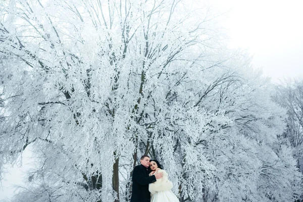 Tenderly portrait of the hugging newlywed couple looking at the sky while spending time in the snowy forest. — Stock Photo, Image