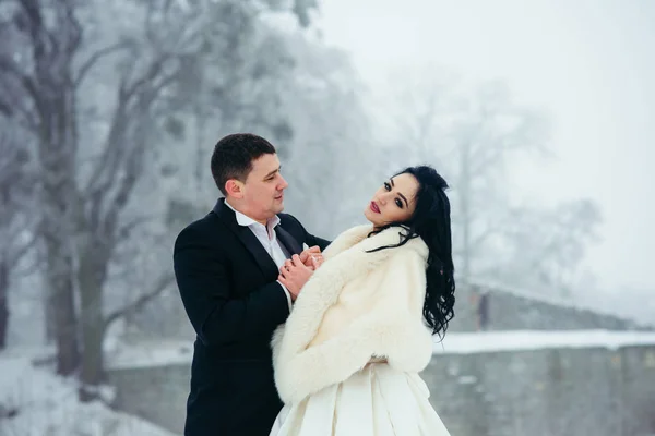 Tender outdoor winter portrait of the beautiful newlywed couple holding hands. — Stock Photo, Image