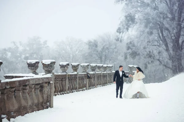 Hermosa pareja feliz de recién casados están hablando y tomados de la mano mientras caminan a lo largo del sendero nevado . — Foto de Stock