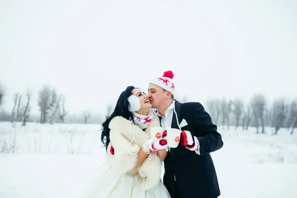 O belo noivo está ternamente beijando a noiva sorridente feliz. Retrato de inverno ao ar livre. Recém-casados estão em chapéus engraçados e luvas segurando os copos . — Fotografia de Stock