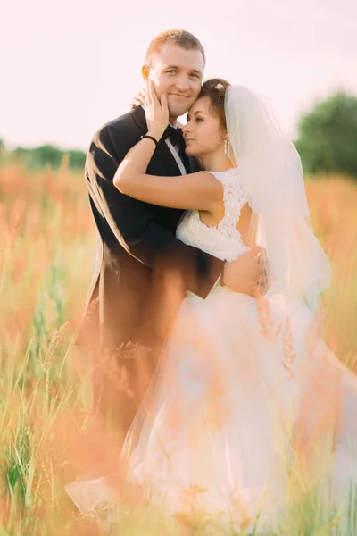 The snesitive portrait of the happy newlyweds hugging in the wheat field. — Stock Photo, Image