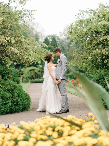 Mira sobre los arbustos amarillos a la tierna pareja de boda — Foto de Stock