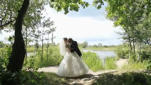 Mariée et marié s'embrassant passionnément devant un lac au bord de la forêt verdoyante et ensoleillée — Video