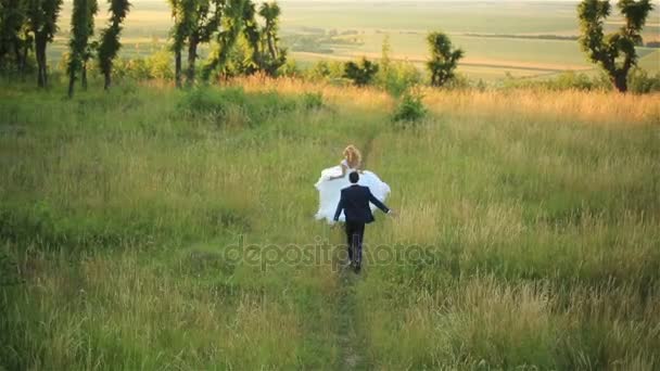 Hermosa pareja de boda besándose suavemente en el bosque. Hermosa puesta de sol en el fondo. Momento encantador — Vídeos de Stock