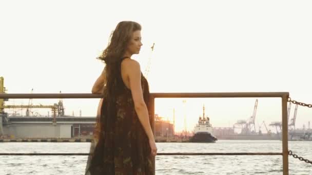 Вид сзади мужчины, обнимающего женщину, стоя у моря . — стоковое видео