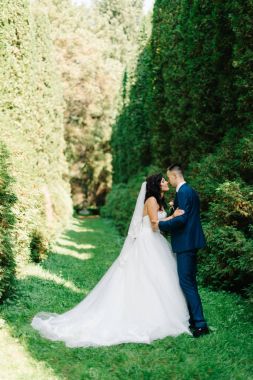 Mavi takım elbise ve orman tribünde güzel gelin damat