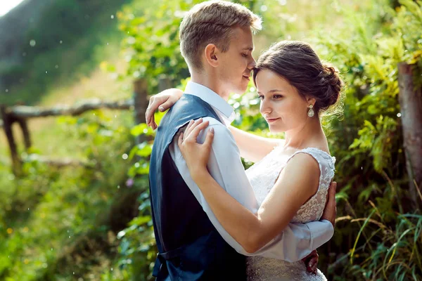 Horizontales Porträt des attraktiven jungen glücklichen Brautpaares, das sich sanft im Garten umarmt. — Stockfoto
