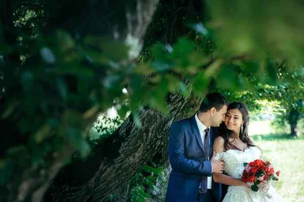 結婚式の肖像画、陽気な笑顔美しい新婚カップルを抱き締めることの公園の緑の木の下で. — ストック写真