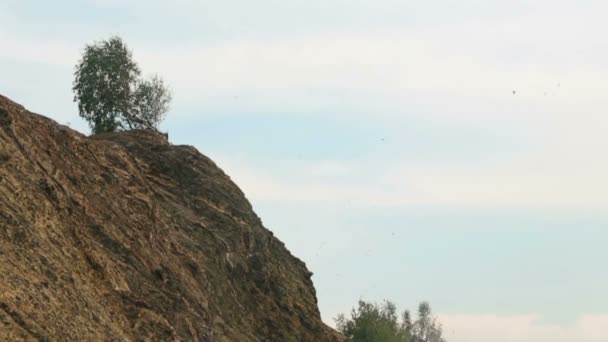 El rebaño de aves vuela sobre las montañas en el cielo. Vista del dron . — Vídeo de stock