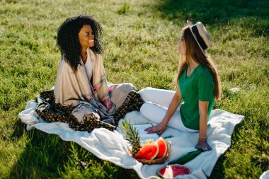 İki çoklu yarışı güzel arkadaşlar mutlu bir şekilde piknik Park konuşurken.
